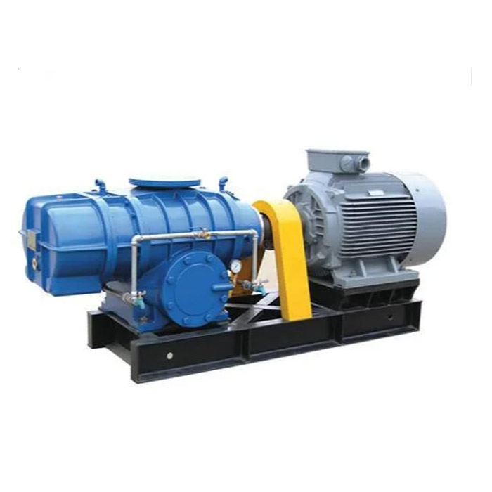 Iyini I-Direct Coupling Roots Blower