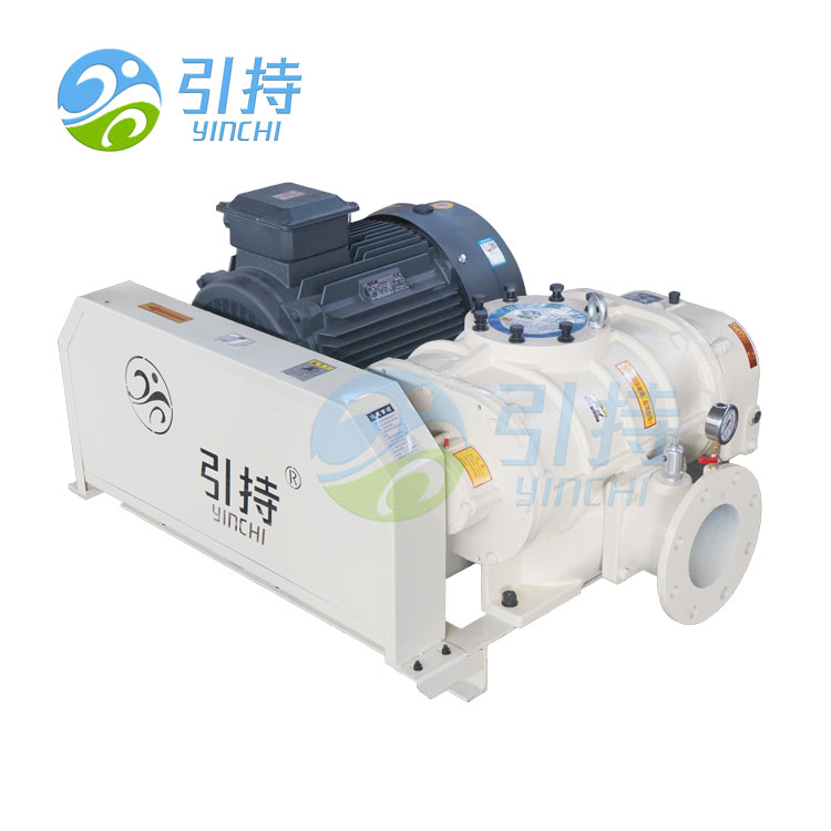 Yiziphi Izinzuzo Zokusebenzisa I-Calcium Carbonate Ukudlulisa Ama-Lobe V-Belt Ama-Rotary Blowers amathathu