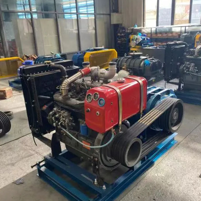 I-Diesel Low Pressure Roots Uhlobo lwe-Blower